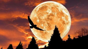 5 ноября нас ждёт самое крупное суперлуние года – «Луна охотника»