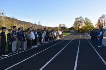   .           ,    ,     ,   34- ...