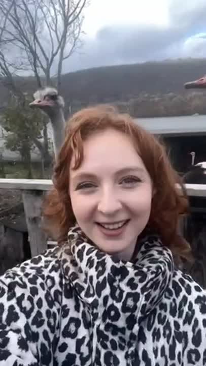 Наш корреспондент познакомилась со страусами из села Бутучаны и получила от одного из них по голове