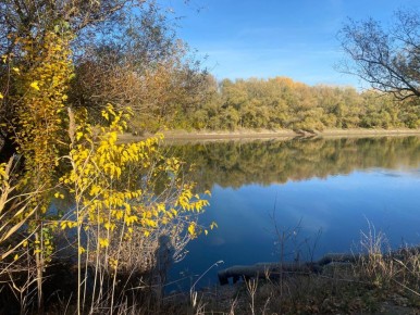 Как передает городской отдел по делам ГО и ЧС, 4 ноября ожидается облачная с прояснениями погода, днем местами кратковременный дождь