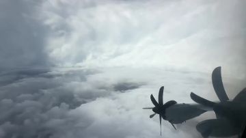 -          5-        2025 