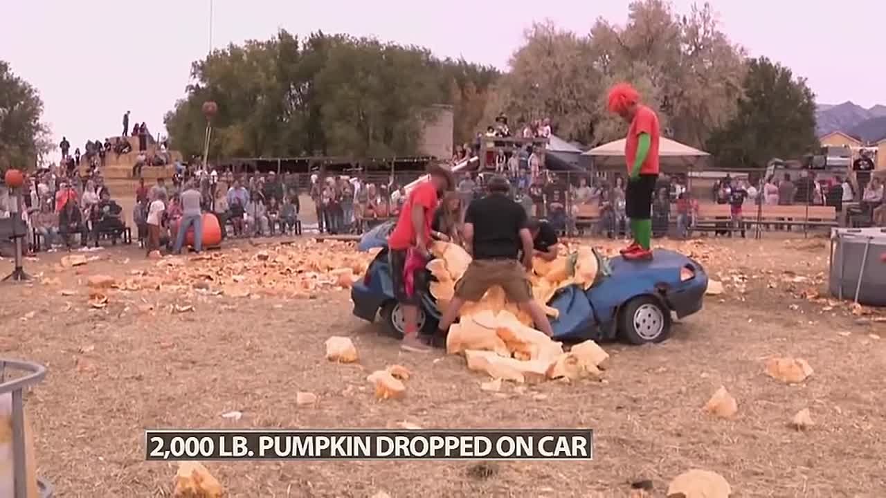 Фермер из США решил необычно избавиться от своей старой машины — он сбросил на неё гигантскую 870-килограммовую тыкву