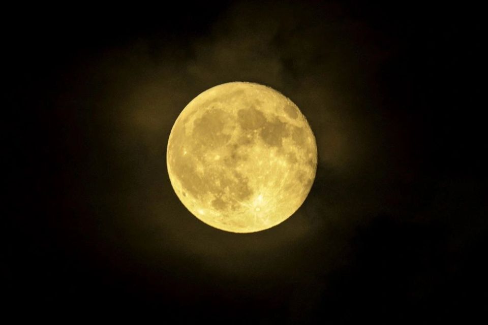 ������� �������� ���� - ����� ����� � ������� ���������� � ���� ����