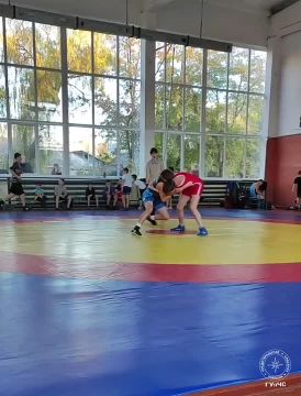 Награды школьникам. В Бендерах и Каменке прошли турниры по греко-римской борьбе и дзюдо в рамках детского фестиваля спорта