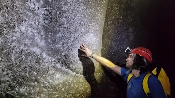 «Мечту арахнофобов» нашли на границе Греции и Албании - пещеру, где живут 111 тысяч пауков