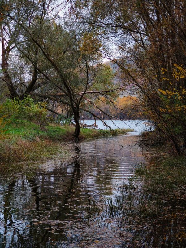 � ��������� ���������� � ������ �� ��������� ������ (10-16 ������)