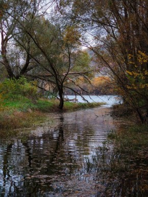 В Гидромете рассказали о погоде на следующей неделе (10-16 ноября)