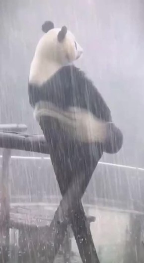 Дожди начнутся в воскресенье и будут лить до середины следующей недели, рассказали в гидрометцентре