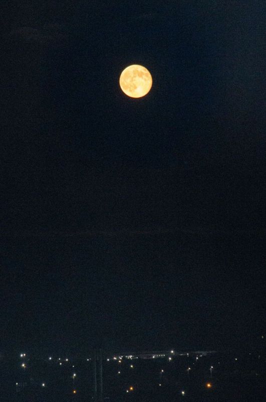 ������������� ������������� �������� ����