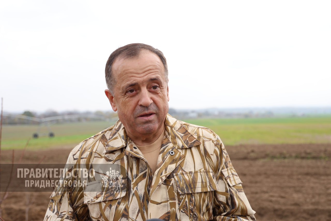 Новую лесополосу высадили в Слободзейском районе члены Правительства во время субботника