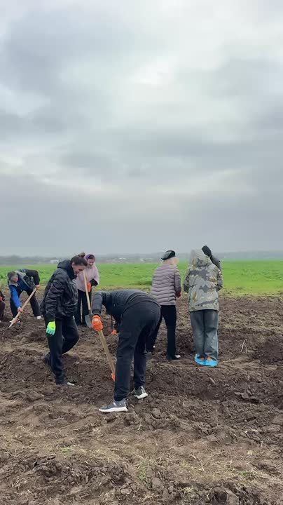 Министры вместе с председателем Правительства прямо сейчас высаживают деревья на окраине Терновки