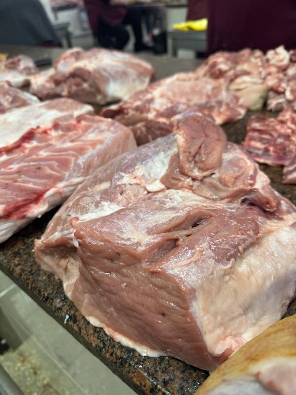 ����, �������� ��������, ����: