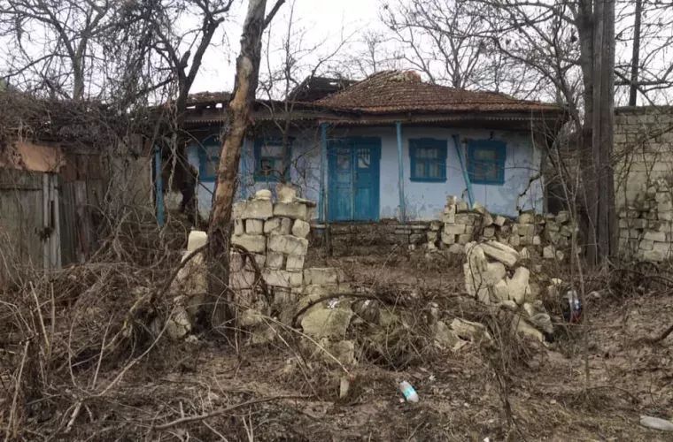 �������� ������ ������ ���������� ���� �� ������ ��������: ������� �������� � ���� ���� 40%