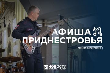   ?      ,    LIONS FEST 2025       