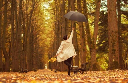 8     ,    Wi-Fi     ,      