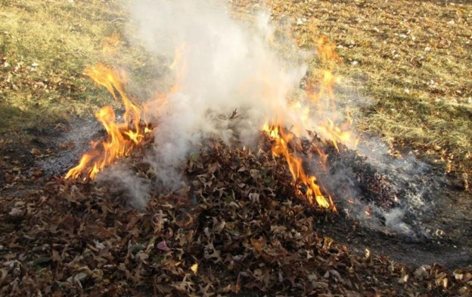 �� �������� ����� ������ ������������� �����