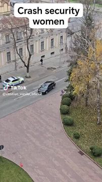 В центре Кишинева перед зданием парламента устроили цирк с охраной этой Метсолы