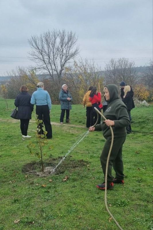 ������� ����, ����, ���� � ������ ������� ���������� � ������������� ������ ������