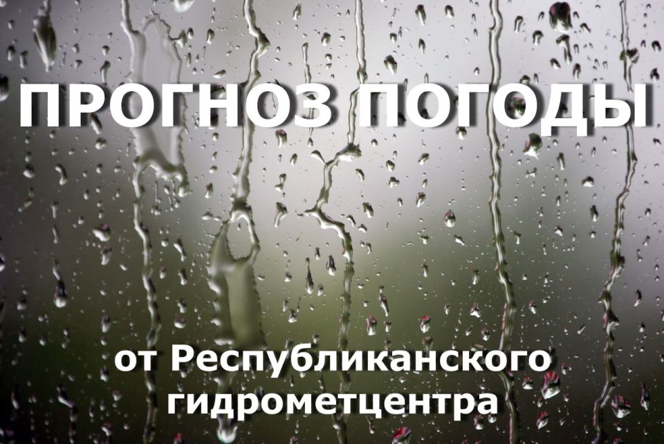 Доброго утра!. Прогноз погоды на сегодня, 11 ноября