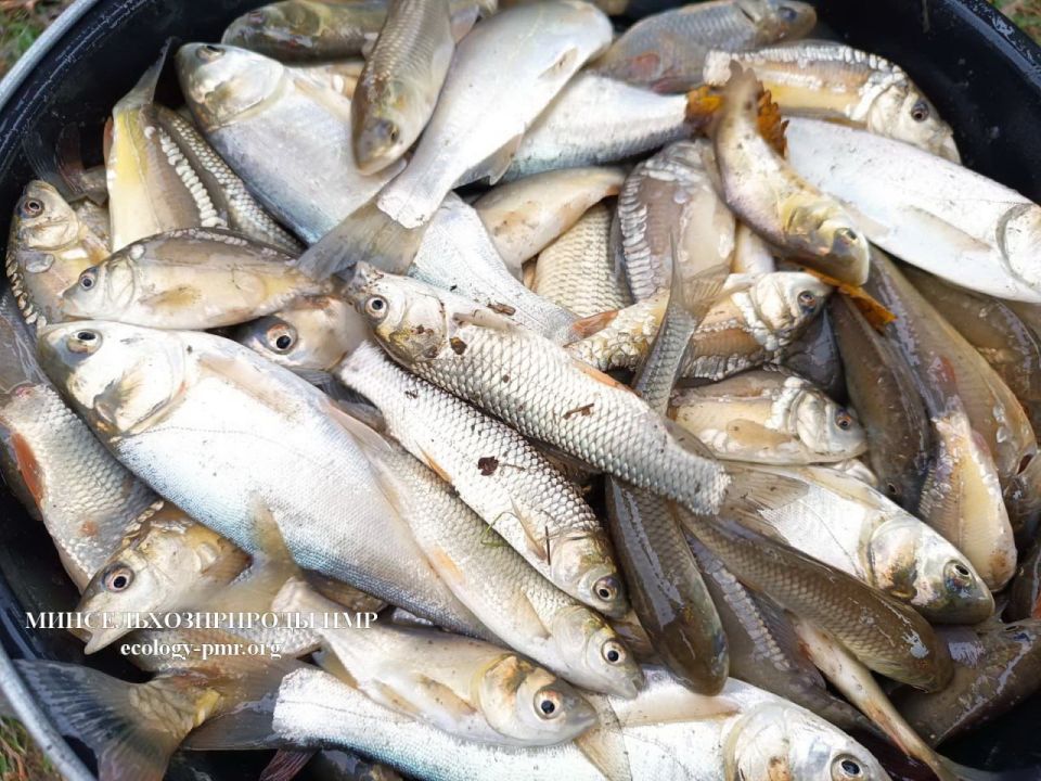 ����� 7 ���� ���� ��������� � ������������ ������������� �� ������ ������ ������