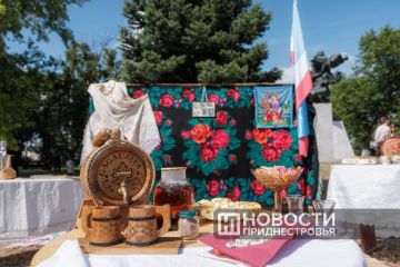 Общественную организацию гагаузов планируют создать в Дубоссарах