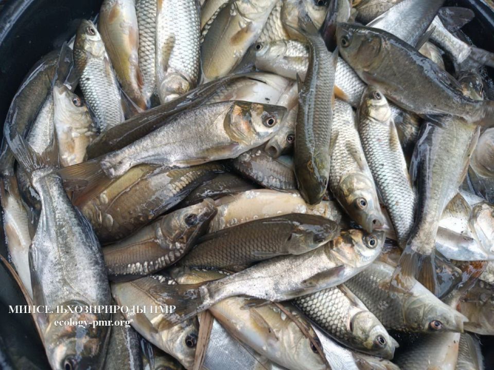 ����� 7 ���� ���� ��������� � ������������ ������������� �� ������ ������ ������