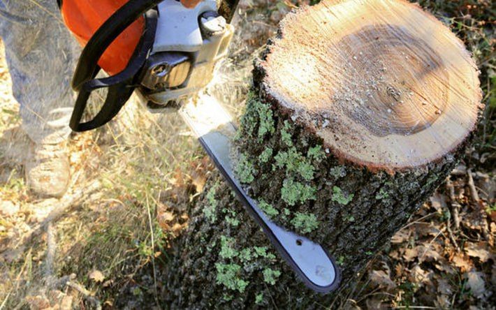 � ���������� ���� ������� ����������, ������� �� ����� ���� ������ �����