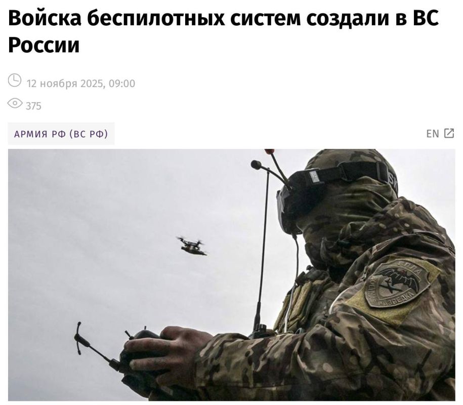 В России созданы войска беспилотных систем