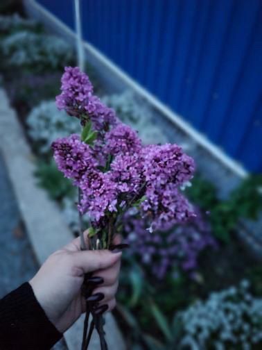 ������ ������� � �������� � ������