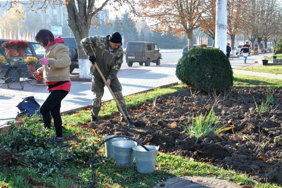 В Дубоссарах высадят более тысячи кустов роз