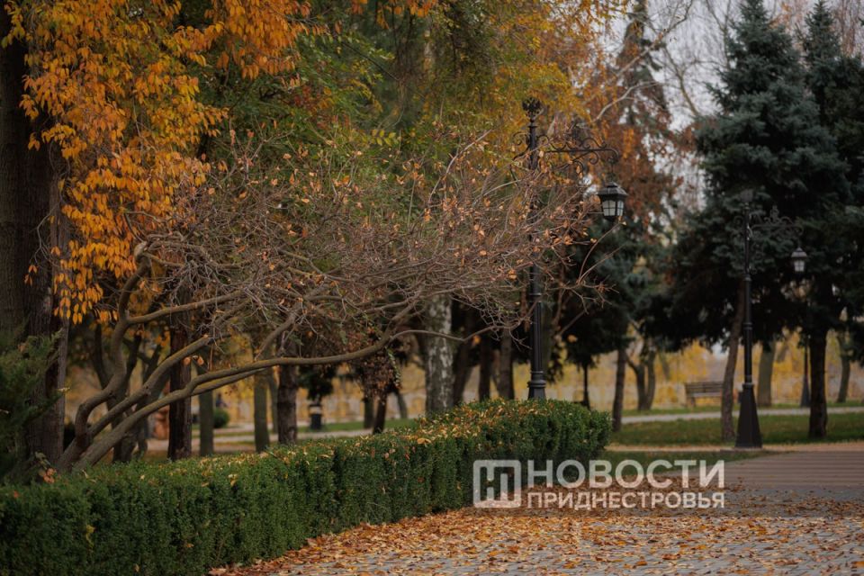 ���������� �������� ������: ��������, �� �����