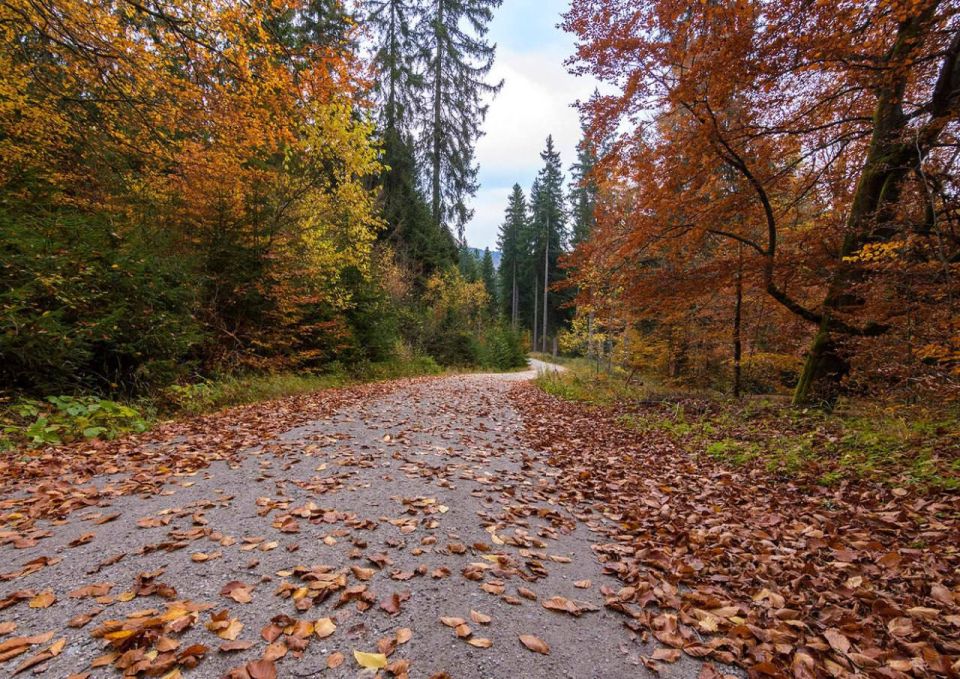 ���������� ���������: �� �����, �� �����, �� ����� ���������