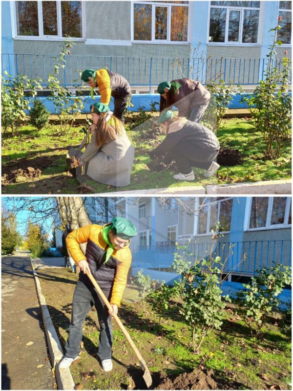 В Дубоссары привезли более 1000 кустов роз