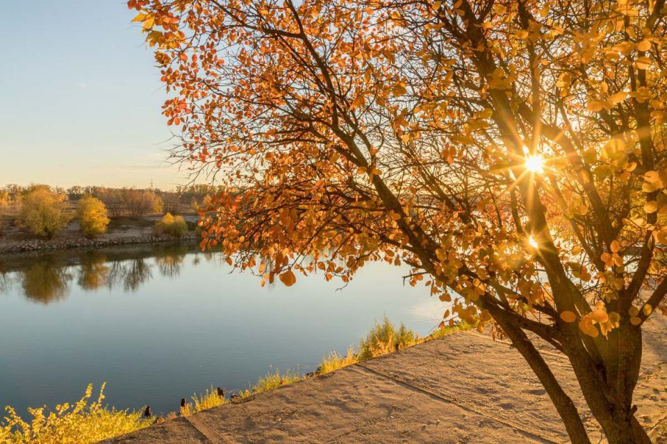 ������ � ������ ����� ������������