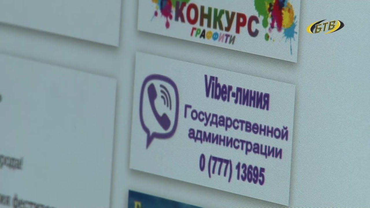 В Бендерах работает Viber-линия, куда жители могут сообщать о скоплении бродячих собак