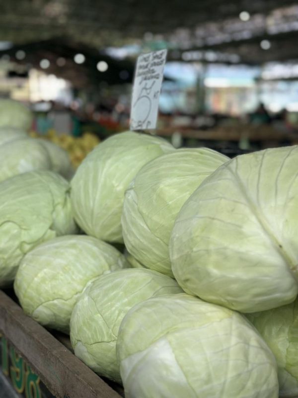 ������� ����� ��������� �� ��������� ����� ��������� �� ������� ������� ������