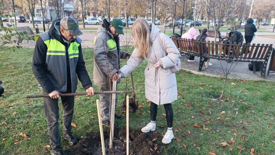 Жители Ленинского в Бендерах через несколько лет будут любоваться сакурой