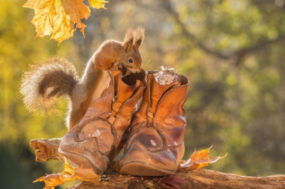 14 ноября - праздник каждый день