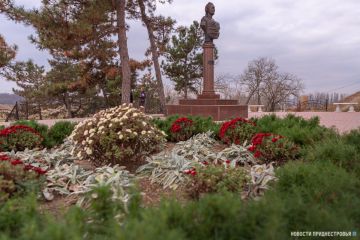 900 кустов роз высадят в Григориополе