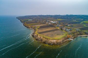 Цикл материалов «Край обетованный» продолжает рассказ о том, как шведы оказались первопроходцами новых земель Российской Империи, пережили климатические трудности, бедность и голод