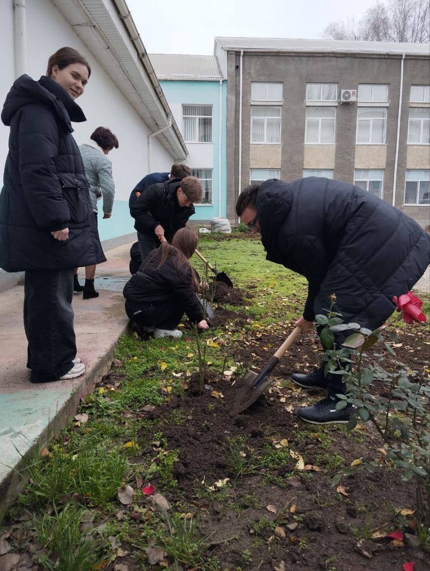 В рамках реализации президентской инициативы по благоустройству в Рыбницком районе и г.Рыбница запланировано высадить 2289 саженцев роз