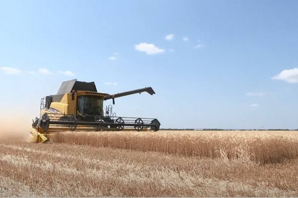 Президент поздравил работников сельского хозяйства и перерабатывающей промышленности с профессиональным праздником: