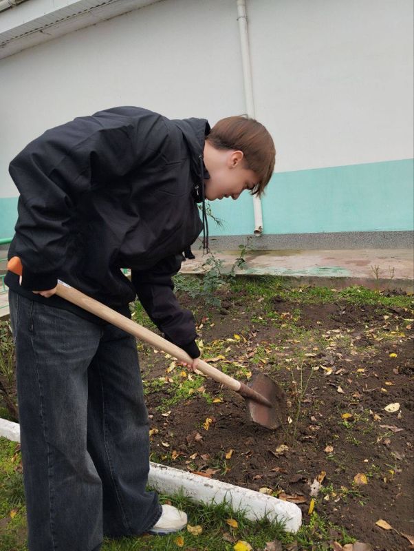 В Рыбницком районе запланировано высадить 2289 саженцев роз