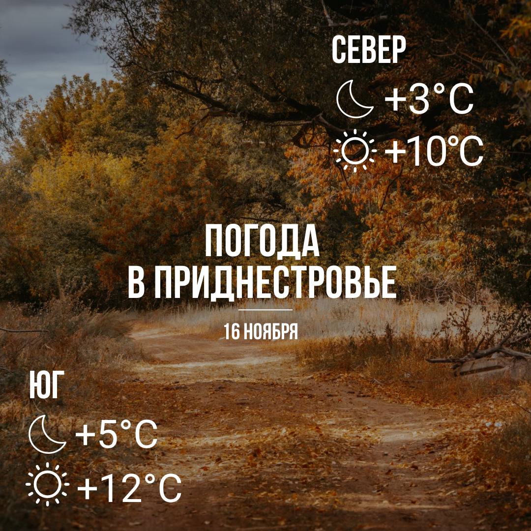 Днём – до +12°С, без существенных осадков