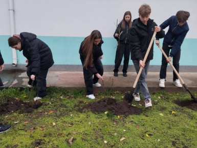 В Рыбницком районе начали высаживать розы