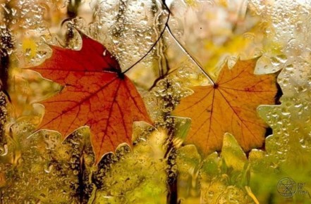 18 НОЯБРЯ. ожидается облачная с прояснениями погода, днем местами небольшой дождь