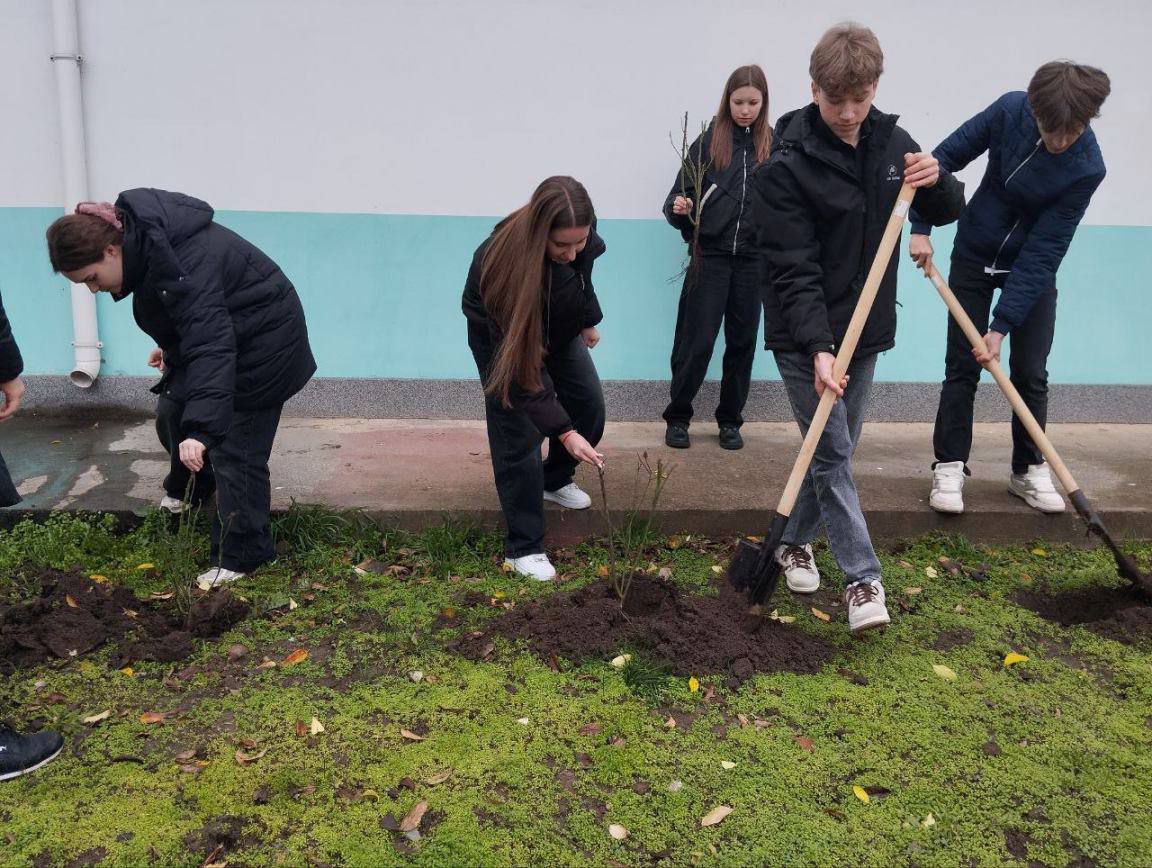 В Рыбницком районе и в Рыбнице высадят 2289 саженцев роз