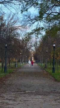 Кажется, мы стали забывать, насколько красиво в парке «Победа» осенью