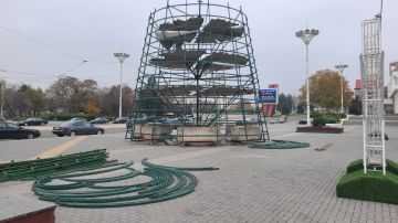 В столице начали собирать новогоднюю елку