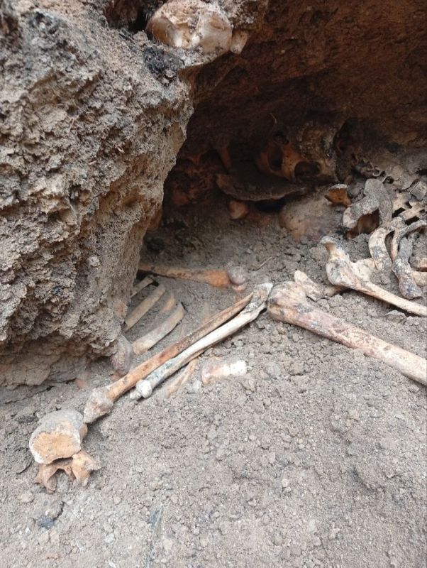 В Тирасполе на стройплощадке рабочие нашли массовое захоронение времён Великой Отечественной войны — предположительно более 50 человек